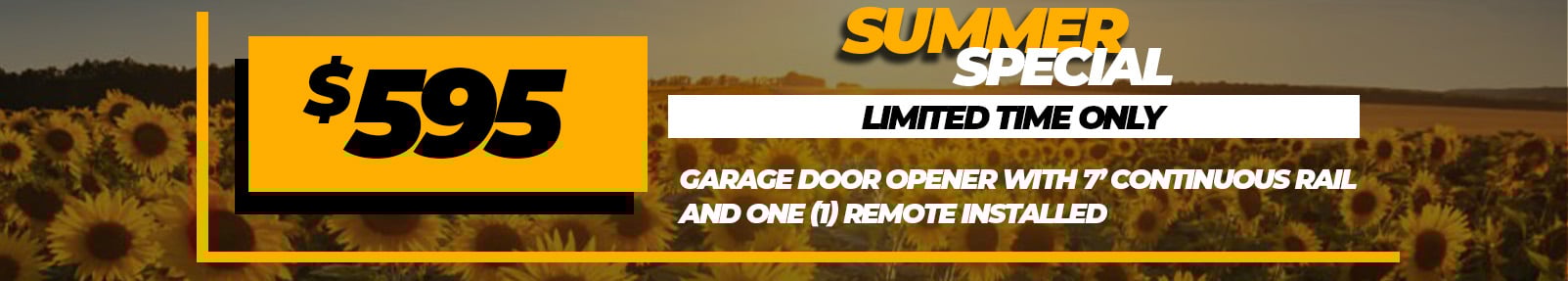 Garage Door Opener w/ continuous chain rail and one (1) remote installed for $595