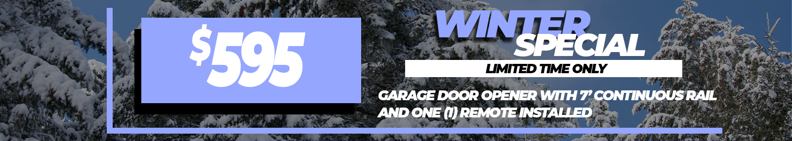 Garage Door Opener w/ continuous chain rail and one (1) remote installed for $595