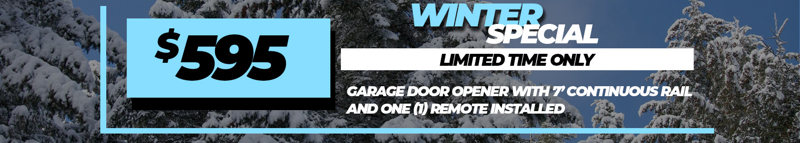 Garage Door Opener w/ continuous chain rail and one (1) remote installed for $595